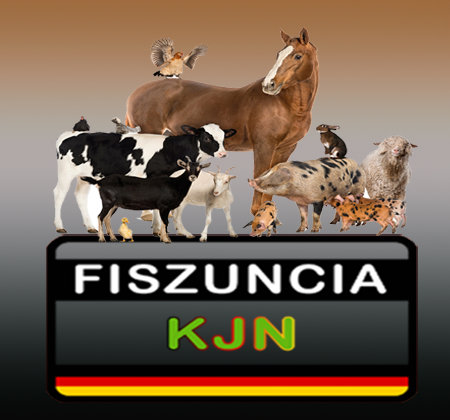 Logo OF