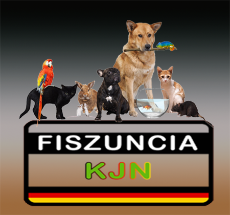 Logo OF