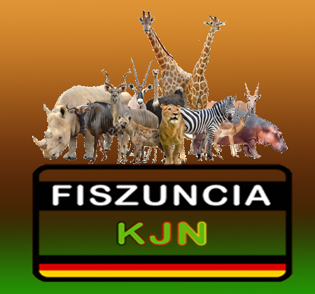 Logo OF